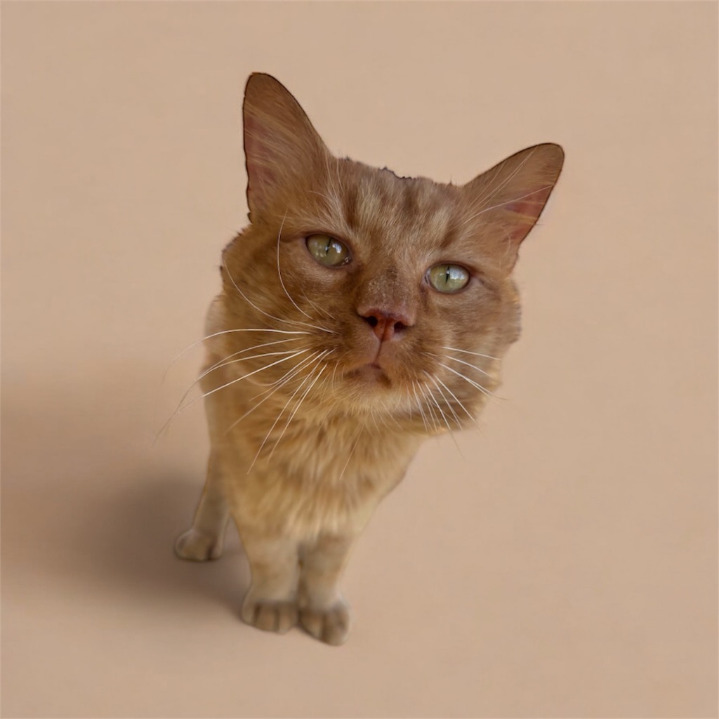 Clint Eastwood (C25-5296)